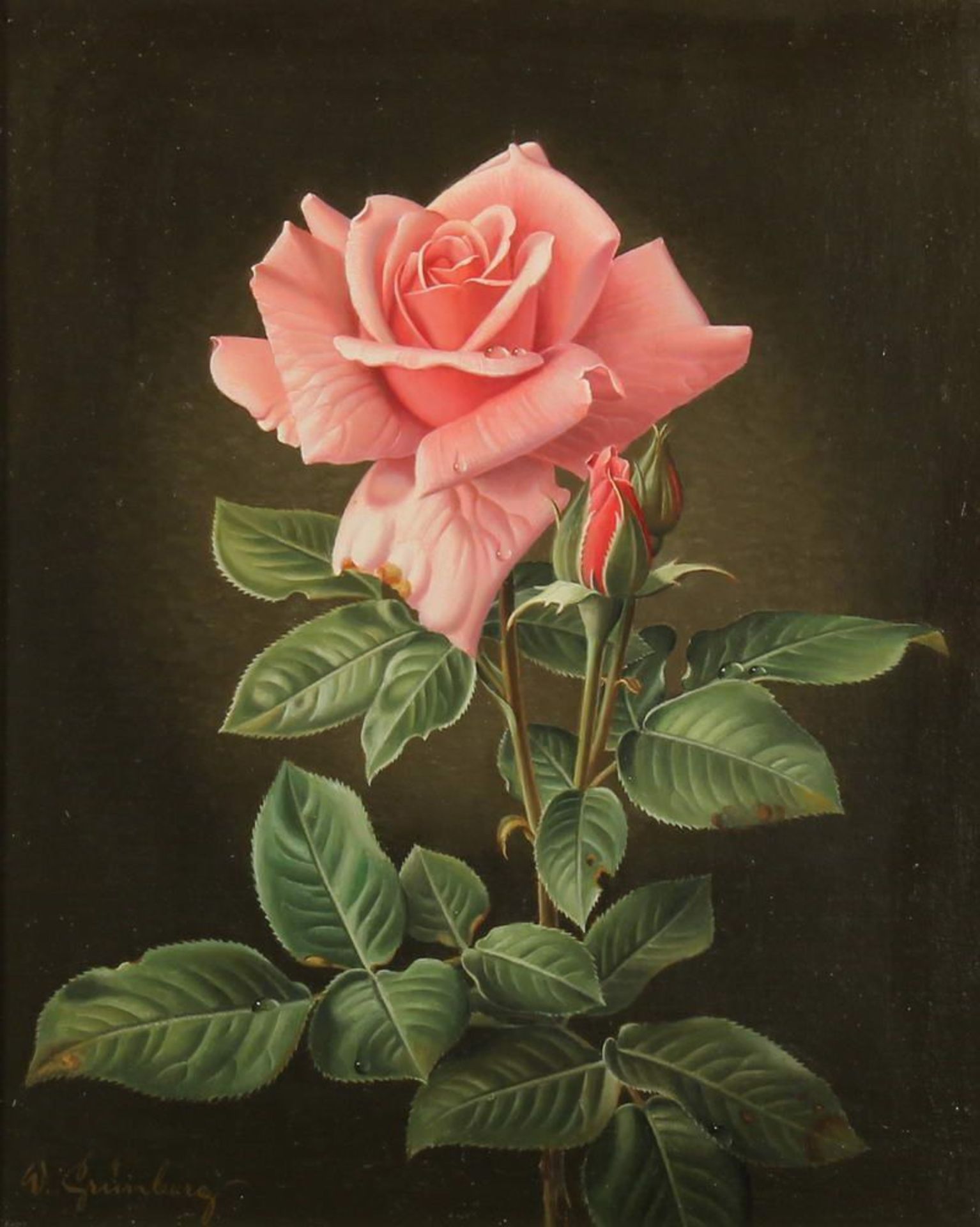 Reserve: 200 EUR        Grünberg, Wolfgang (1909 - 2001, in Köln tätiger Blumenmaler), "Rosa