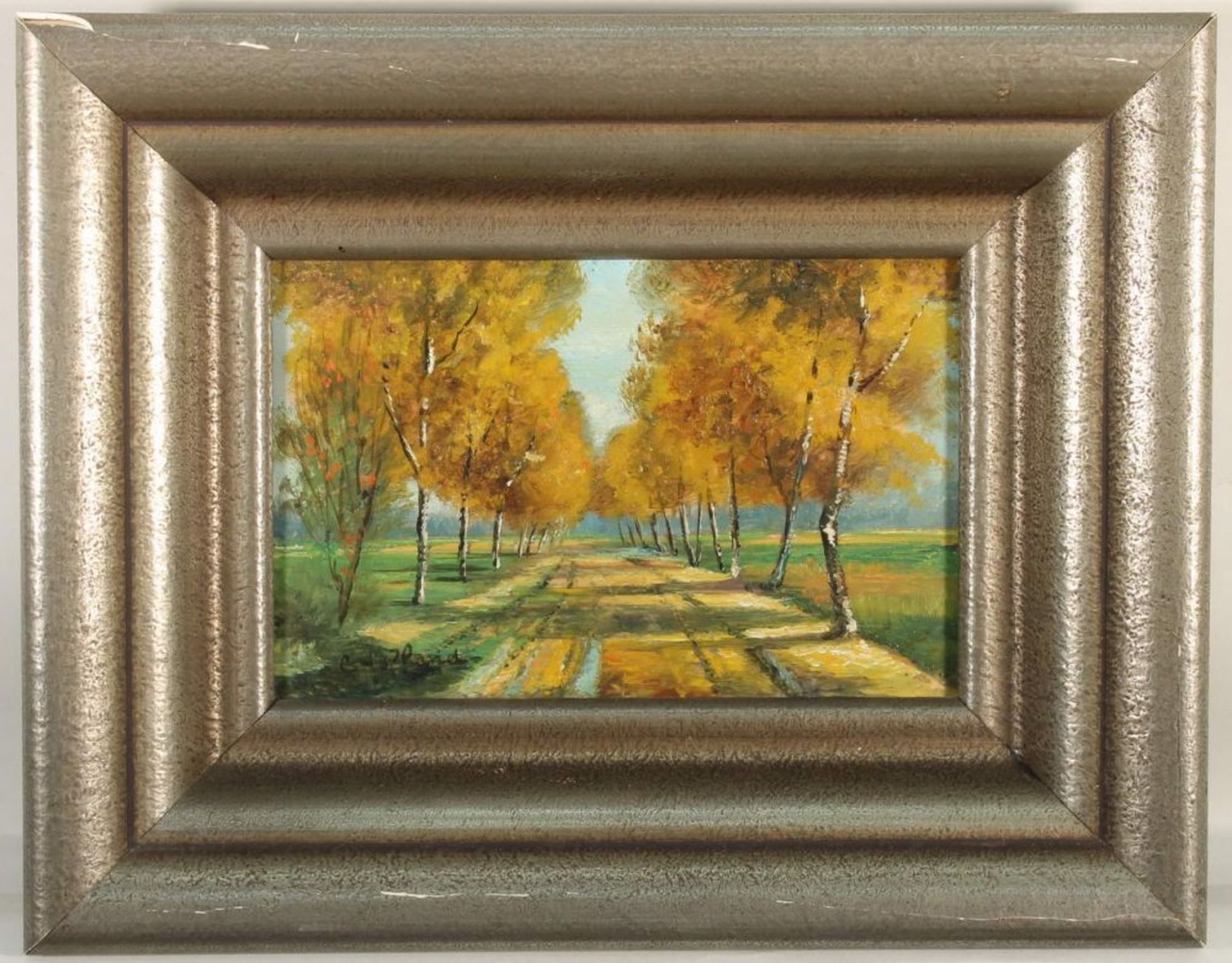 Reserve: 40 EUR        Holland, C. (20. Jh.), "Herbstliche Birkenallee", Öl auf Holz, signiert unten - Image 2 of 4