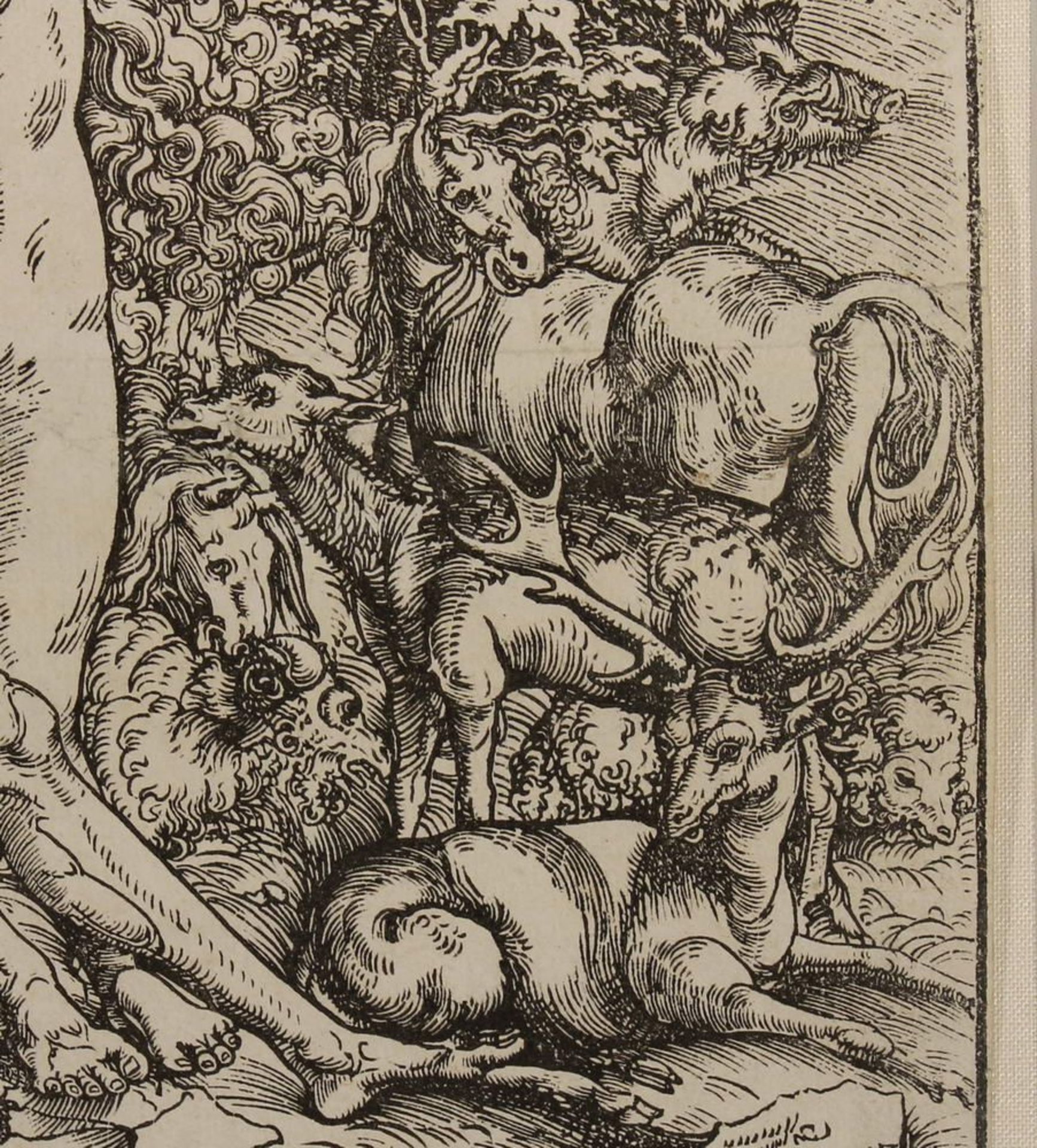 Reserve: 1500 EUR        Cranach, Lucas d. Ä. (1472 - 1553), Holzschnitt, "Adam und Eva im - Image 10 of 14