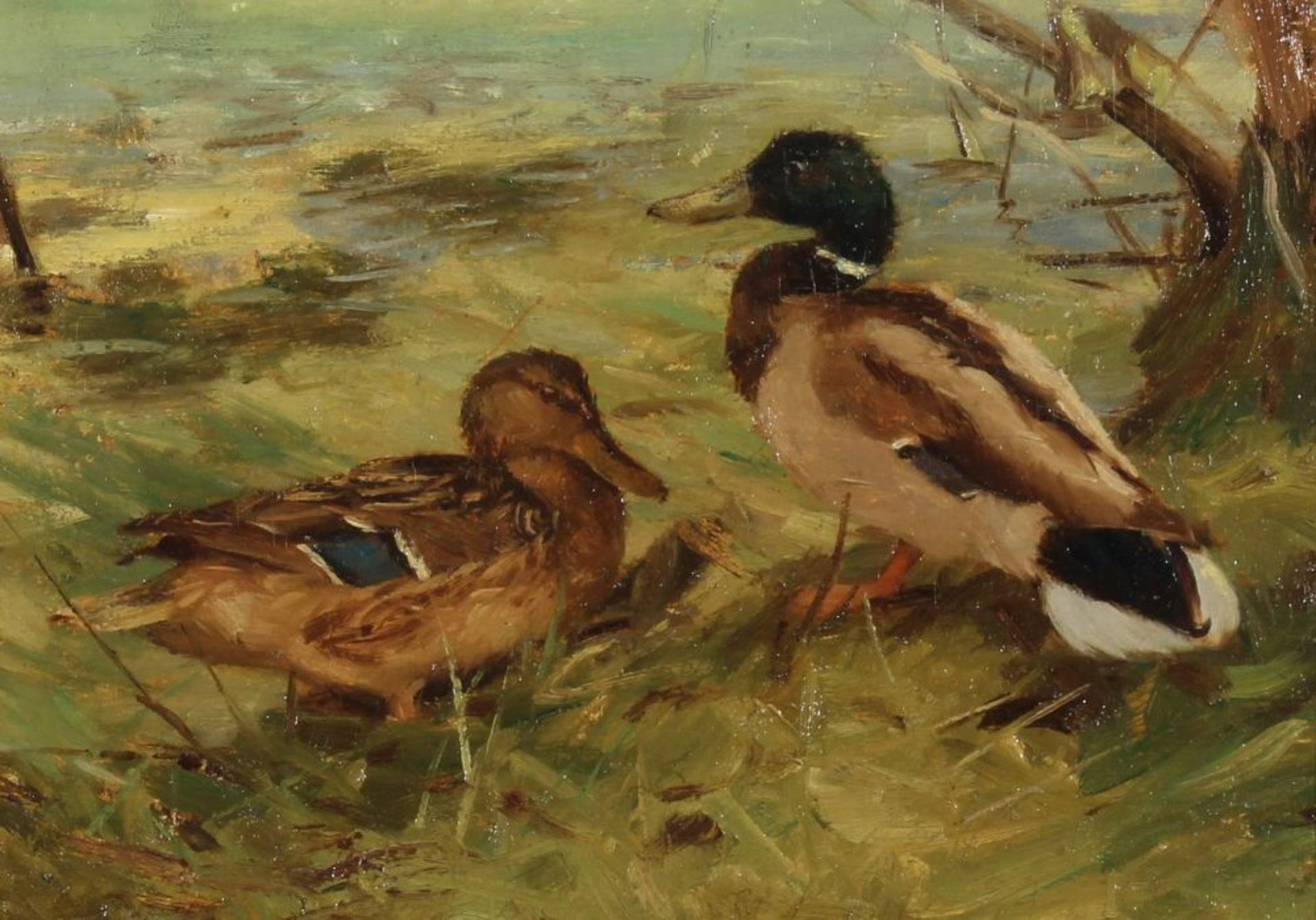 Reserve: 70 EUR        Tiermaler (20. Jh.), "Zwei Enten", Öl auf Leinwand, auf Karton, 26.5 x 37 cm - Image 2 of 4