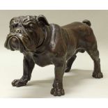 Reserve: 500 EUR        Bronze, "Bulldogge", neuzeitlicher Guss, 31 cm hoch, 55 cm lang