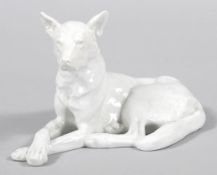 Schäferhund Weißporzellan, Herend, 1950er In natural. Darstellung die liegende Hundefigur. HxL: 18 x