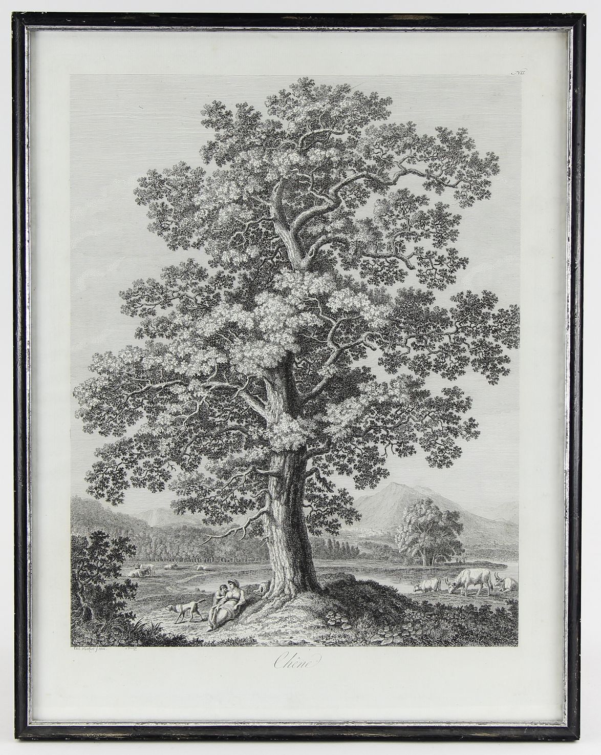 Hackert, Jacob Philipp (Prenzlau 1737 - 1807 Florenz) Radierung "Chene" (Die Eiche) auf Bütten,