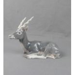 FIGUR: "LIEGENDE GAZELLE / Antilope cervicapra", Porzellan, Manufaktur Bing & Gröndahl, Dänemark.