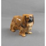 FIGUR: "Hund / Pekinese", Porzellan, Manufaktur Royal Doulton, England, bezeichnet "Bone China".