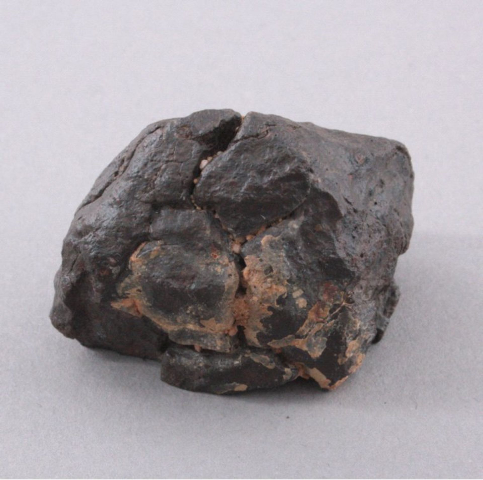 Oman MeteoritBez. Dho 1870, Fundort Dhofar, Sultanat Oman, ca. 55 g.Mindestpreis: 30 EUR