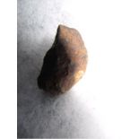 Agoudal MeteoriteMarokko, Hohes Atlasgebirge 2000-2012, ca. 21,6 gMindestpreis: 17 EUR