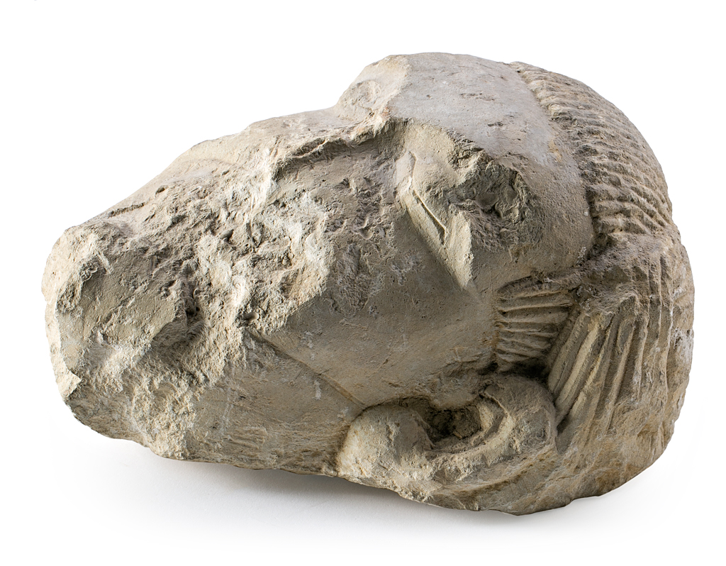 Attributed to the Catalan school, 14th Century Head Limestone sculpture Old inventory number