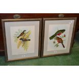 Four prints of exotic birds