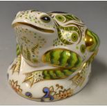 A Royal Crown Derby paperweight, toad, l