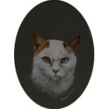 Pollyanna Pickering (Bn.1942) Portrait of a Cat signed, watercolour and gouache, oval, 29cm x 21.