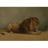 Herbert Sowerby (20th century)  The Lion
