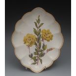 A Derby Botanical scalloped oval plate,