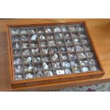 Conchology - an early 20th century mahogany naturalist's display case, enclosing seven rows of nine