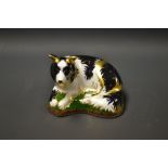 A Royal Crown Derby paperweight, Border Collie, limited edition 822/2500, gold backstamp edition,