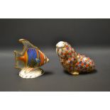 A Royal Crown Derby limited edition Pacific Angel Fish paperweight, 700/2500, gold stopper, printed