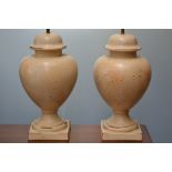 A pair of ceramic table lamps (2)