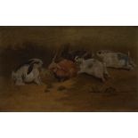 English School (19th century)
Five Rabbits
signed with monogram C H J, oil on canvas,