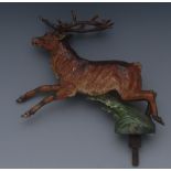 An Austrian cold painted bronze novelty car mascot, as a leaping stag, 13.5cm long, c.