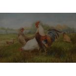 Casper Holding (19th/20th century)
Hen, Cockerel and Chicks and Mallard Duck on a River Bank
signed,