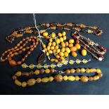 A butterscotch amber graduated bead necklace,