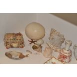Natural History - an ostrich egg;  a large drill shell;  another,