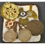 A RAF badge; enamel badges; coins; etc.