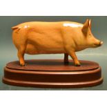 A Royal Doulton model of a Tamworth pig DA 215, on a wood plinth.