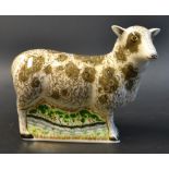A Royal Crown Derby paperweight, Jacob Sheep, gold stopper,