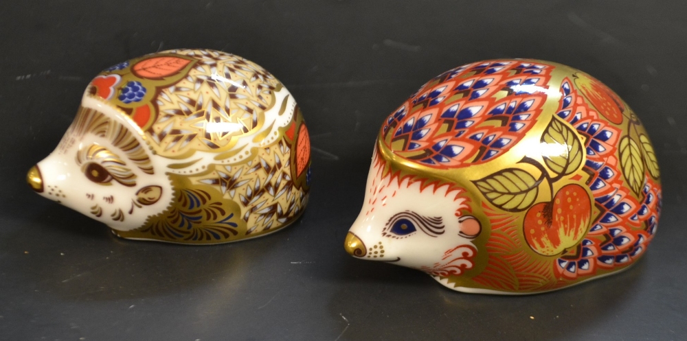 A Royal Crown Derby paperweight, Orchard Hedgehog, Exclusive to the Collectors Guild;  another,