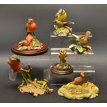 A Border Fine Arts model , Mallard, RW4;  another Robin on a plant pot,