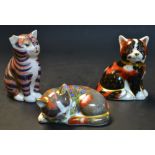 Royal Crown Derby paperweights - Catico kitten, Catnip kitten, kitten,