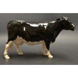 A Beswick black and white Shetland Cow, no.