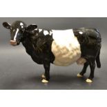 A Beswick Belted Galloway cow, model 4113A, issued 2001 - 2002 from the Rare Breeds Series,