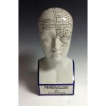 A 20th century pottery phrenology bust, modelled after L.N.