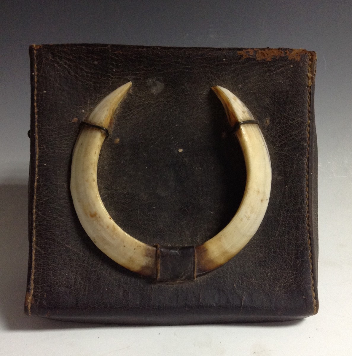 An unusual early 20th century leather box, mounted with wild boar tusks and lined with hide,