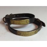 A 19th century leather and brass dog collar, the broad rectangular cartouche inscribed Louis Genty,