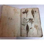 An unusual and rare mid-18th century botany album, containing 44 pages of 220 botanical specimens,