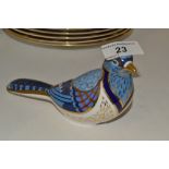 A Royal Crown Derby paperweight, Blue Jay, first quality,