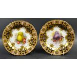 A pair of Royal Worcester, Richard Sebright plates,