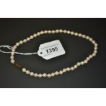 A single strand freshwater cultured pearl choker necklace, the uniform cream pearls,