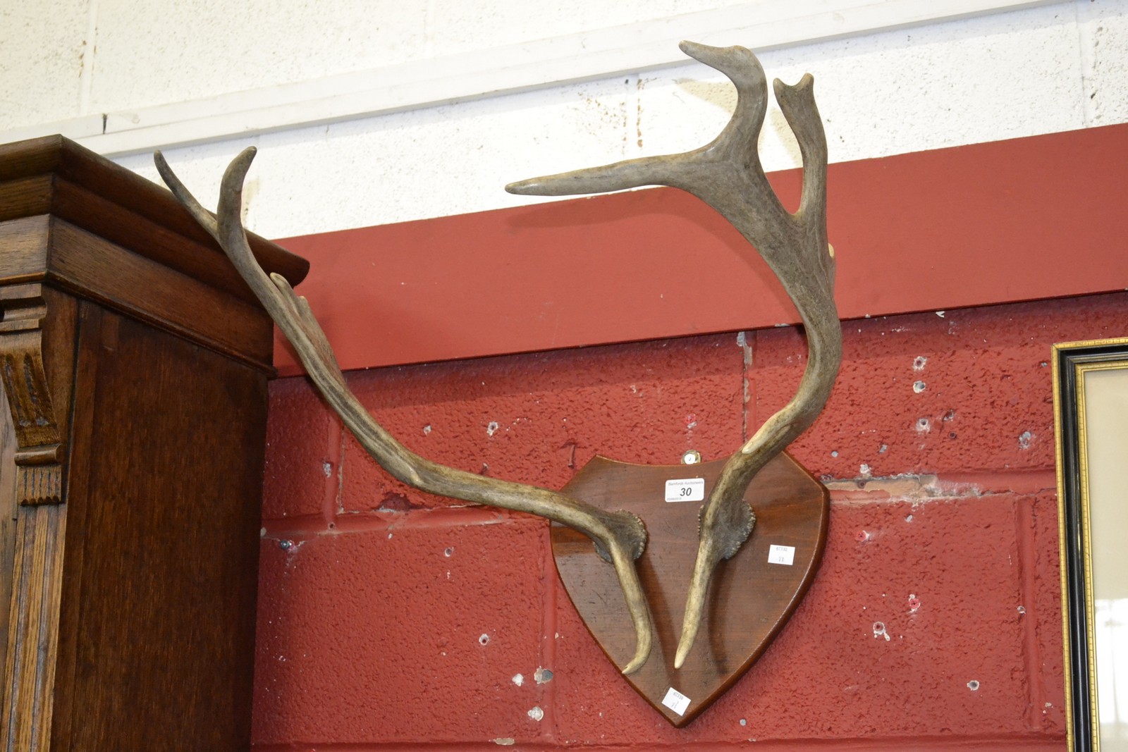 A pair of deer antlers,