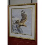 Haytram (20th century)
Golden Eagle Taking Flight
signed, watercolour,