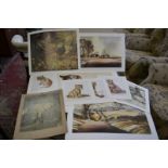 Pictures and Prints - Silvia Duran, a set of four colour prints, tiger, lion, cheetah,