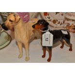 A Beswick Model Great Dane, Champion Ruler of Oubrough , printed mark;   another,