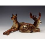 A Bretby model of an eight-pointer stag, he sits with his front legs folded beneath his body, 13.