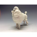 A Beswick model, of a poodle, Ivanola Gold Digger, white gloss, model no. 2108
 Condition Report:
