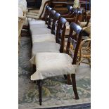 A set of eight Regency mahogany dining chairs, possibly Scottish,