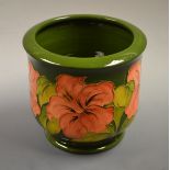 A Moorcroft Hibiscus pattern jardiniere