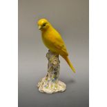 A Royal Worcester model of a yellow canary, perched on a stylized trunk picked out in gilt,